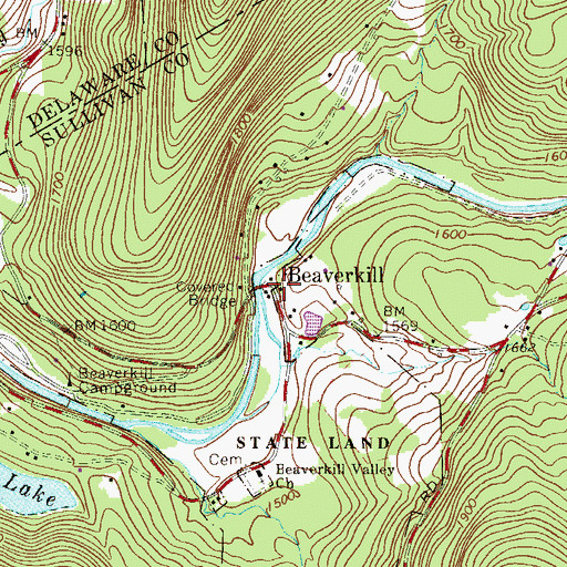 Topographic Map of Beaverkill, NY