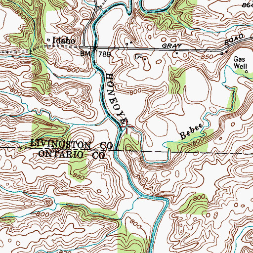 Topographic Map of Bebee Creek, NY