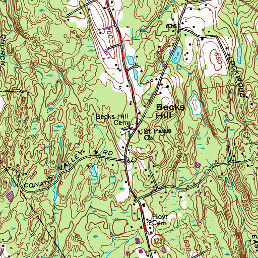 Topographic Map of Becks Hill Cemetery, NY