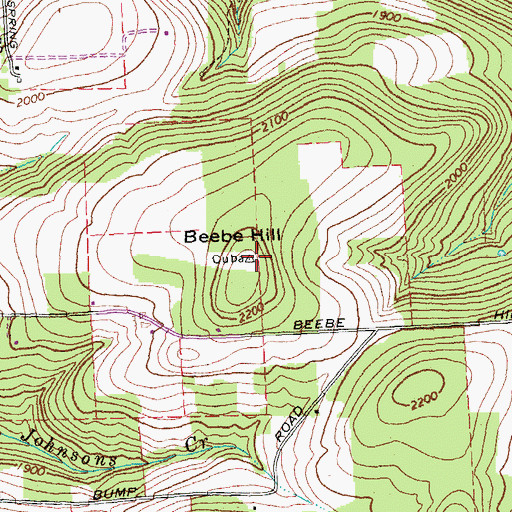 Topographic Map of Beebe Hill, NY