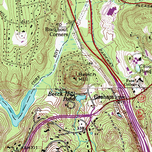 Topographic Map of Beech Hill, NY