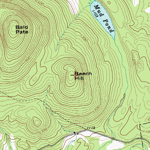 Topographic Map of Beech Hill, NY