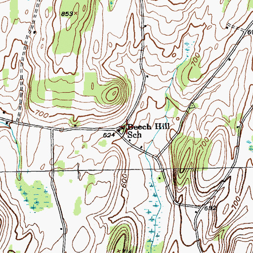 Topographic Map of Beech Hill School, NY