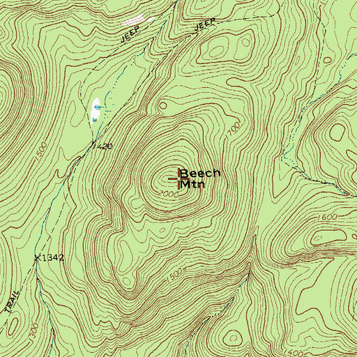 Topographic Map of Beech Mountain, NY