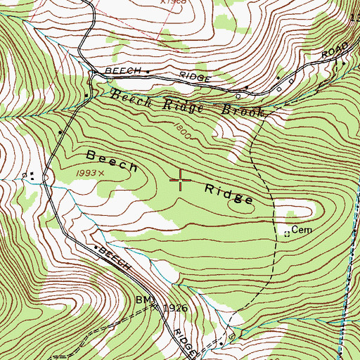 Topographic Map of Beech Ridge, NY