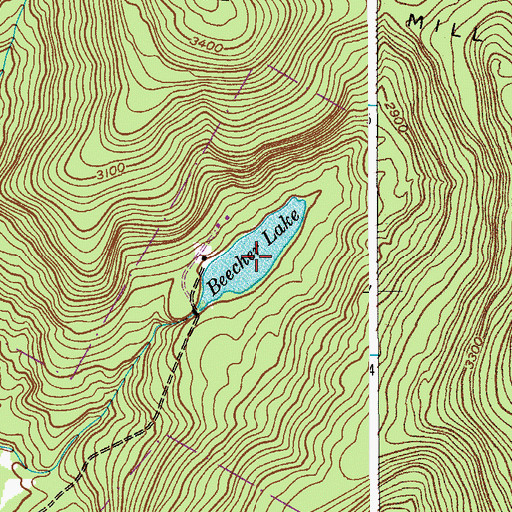 Topographic Map of Beecher Lake, NY