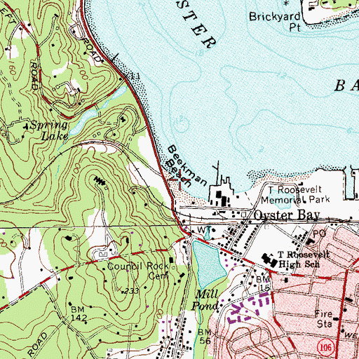 Topographic Map of Beekman Beach, NY