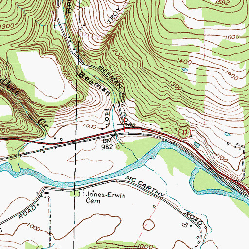 Topographic Map of Beeman Hollow, NY