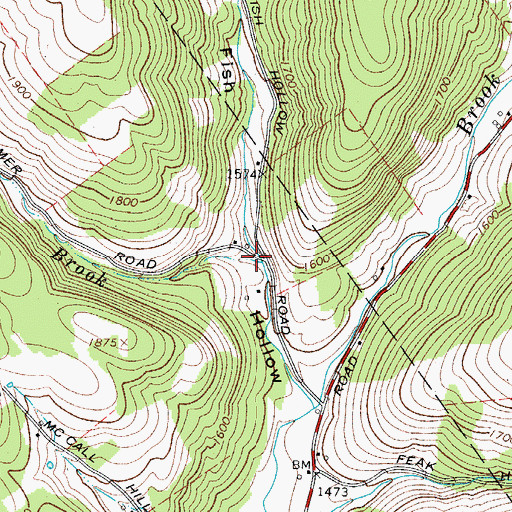 Topographic Map of Beers Brook, NY