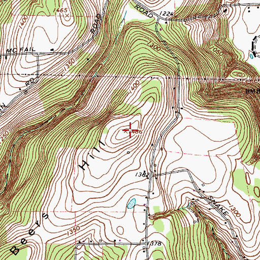 Topographic Map of Beers Hill, NY