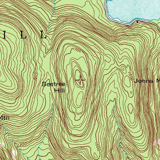 Topographic Map of Beetree Hill, NY