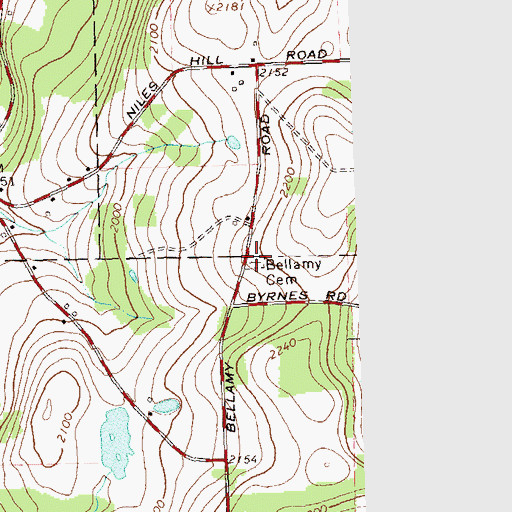 Topographic Map of Bellamy Cemetery, NY