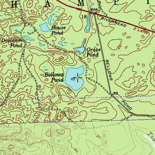 Topographic Map of Bellows Pond, NY