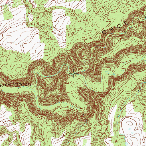 Topographic Map of Belson Creek, NY