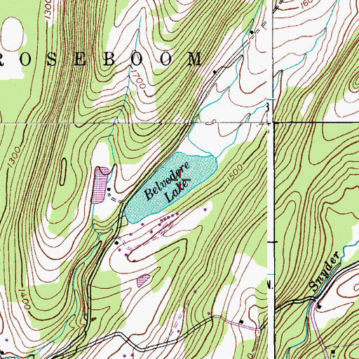 Topographic Map of Belvedere Lake, NY