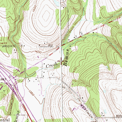 Topographic Map of Bemus Creek, NY