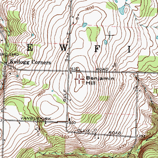 Topographic Map of Benjamin Hill, NY