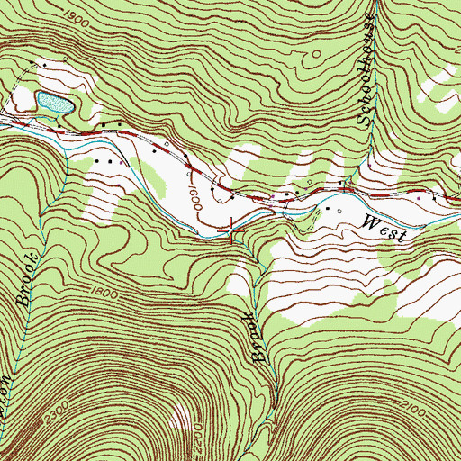 Topographic Map of Bennett Brook, NY