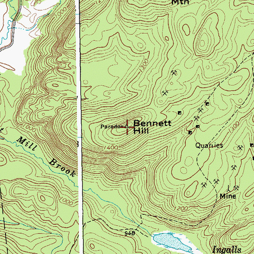 Topographic Map of Bennett Hill, NY