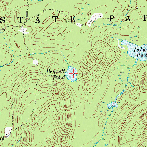 Topographic Map of Bennett Pond, NY