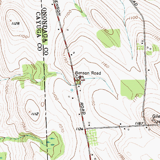 Topographic Map of Benson Road Cemetery, NY