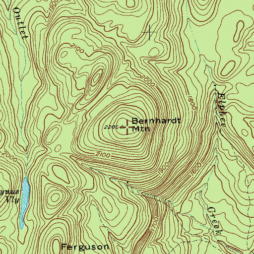 Topographic Map of Bernhardt Mountain, NY