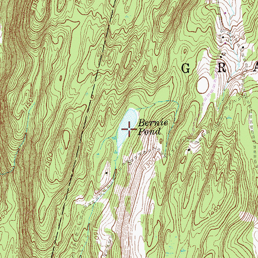 Topographic Map of Bernie Pond, NY