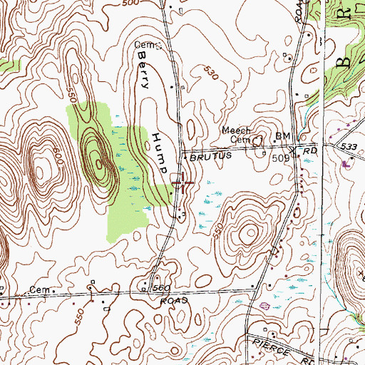 Topographic Map of Berry Hump, NY