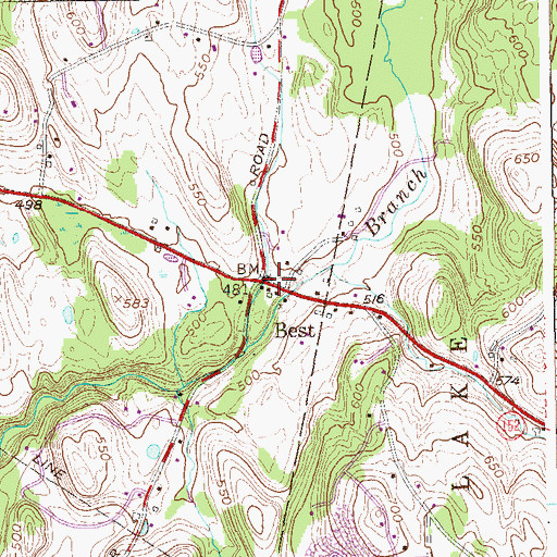 Topographic Map of Best, NY
