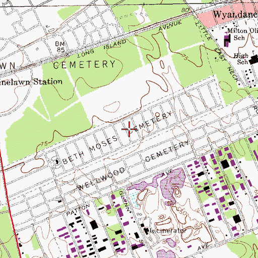 Topographic Map of Beth Moses Cemetery, NY