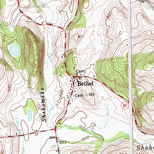 Topographic Map of Bethel, NY