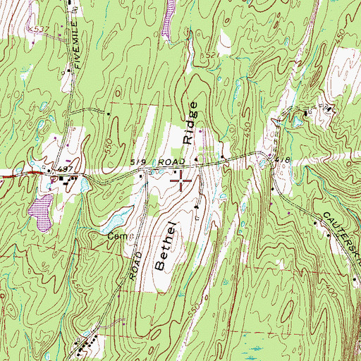 Topographic Map of Bethel Ridge, NY