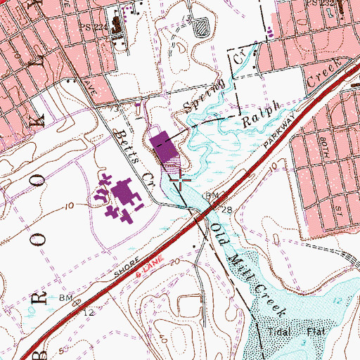 Topographic Map of Betts Creek, NY