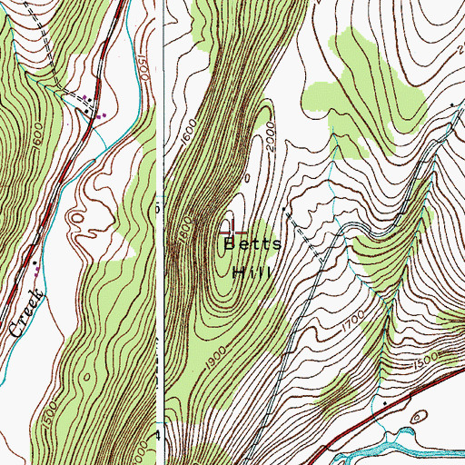 Topographic Map of Betts Hill, NY