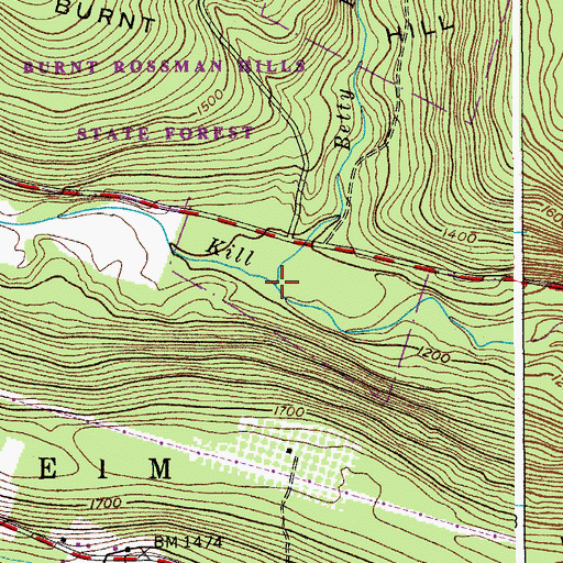 Topographic Map of Betty Brook, NY