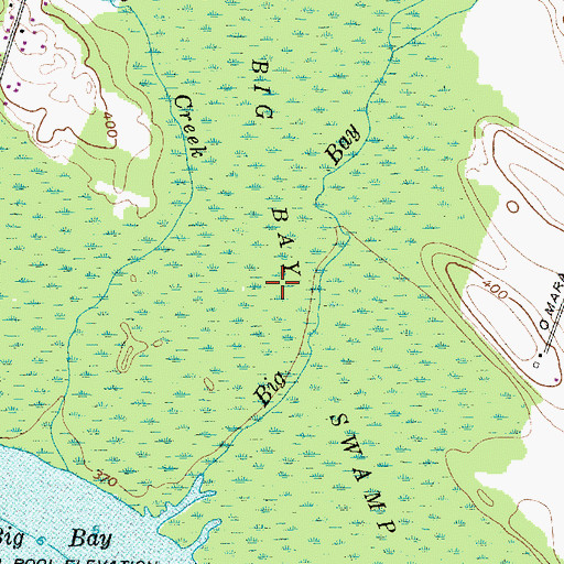 Topographic Map of Big Bay Swamp, NY