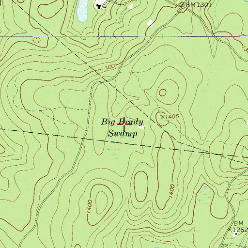Topographic Map of Big Brady Swamp, NY