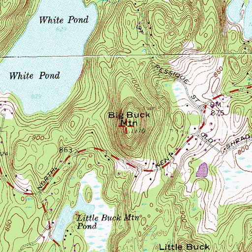 Topographic Map of Big Buck Mountain, NY