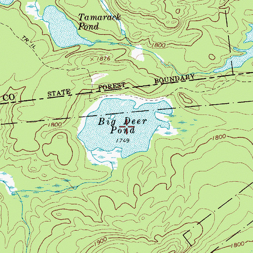 Topographic Map of Big Deer Pond, NY
