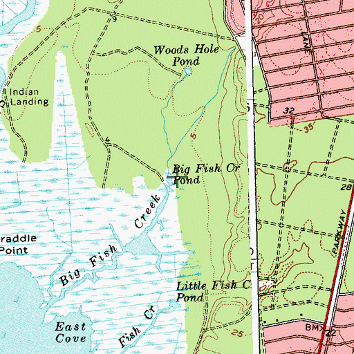 Topographic Map of Big Fish Creek Pond, NY