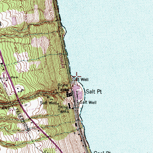 Topographic Map of Big Hollow Run, NY