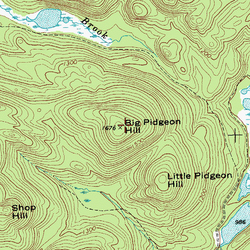Topographic Map of Big Pidgeon Hill, NY