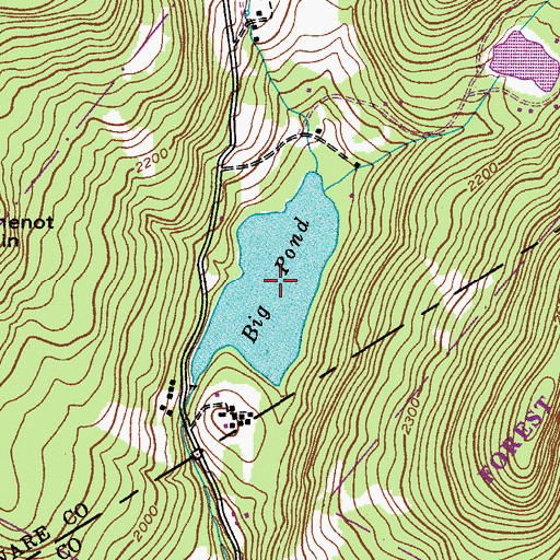 Topographic Map of Big Pond, NY