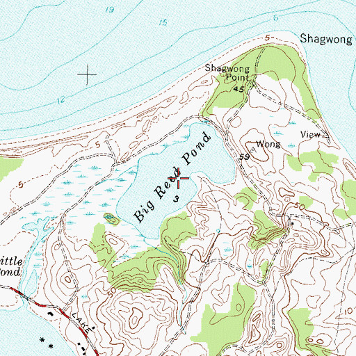 Topographic Map of Big Reed Pond, NY