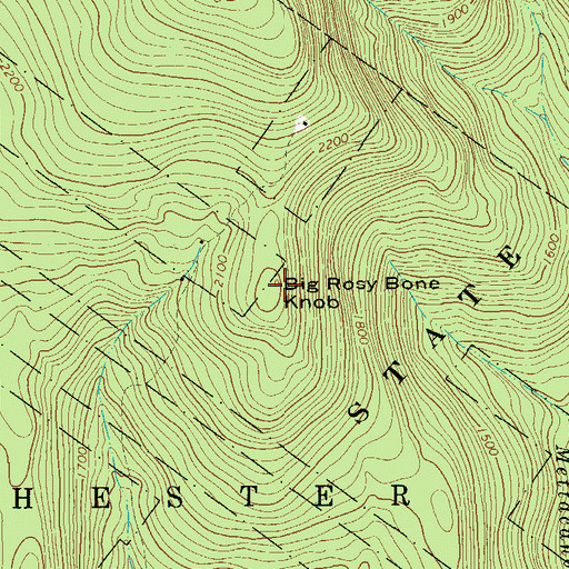 Topographic Map of Big Rosy Bone Knob, NY
