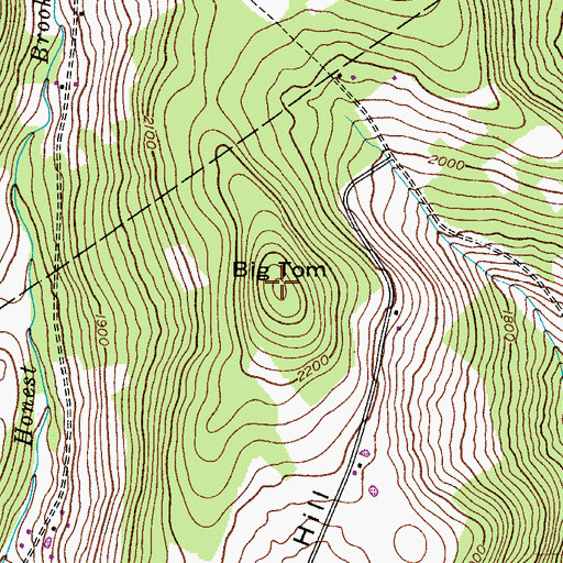 Topographic Map of Big Tom, NY