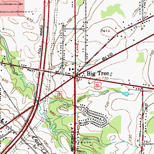 Topographic Map of Big Tree, NY