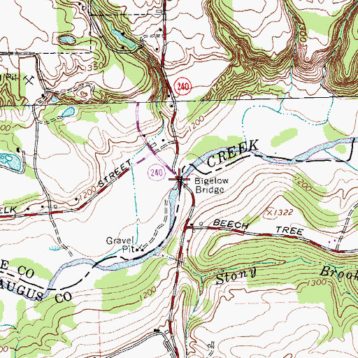 Topographic Map of Bigelow Bridge, NY