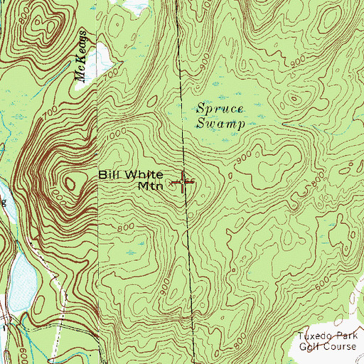 Topographic Map of Bill White Mountain, NY
