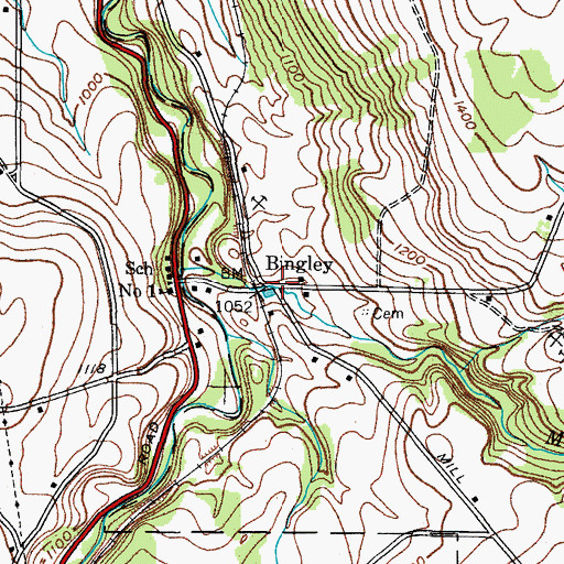 Topographic Map of Bingley, NY
